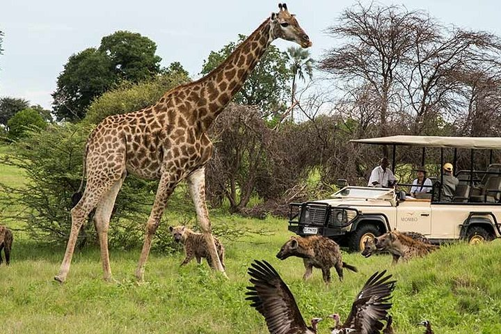 Cape Town - Overnight Best of Inverdoorn Safari Game Reserve  - Photo 1 of 14